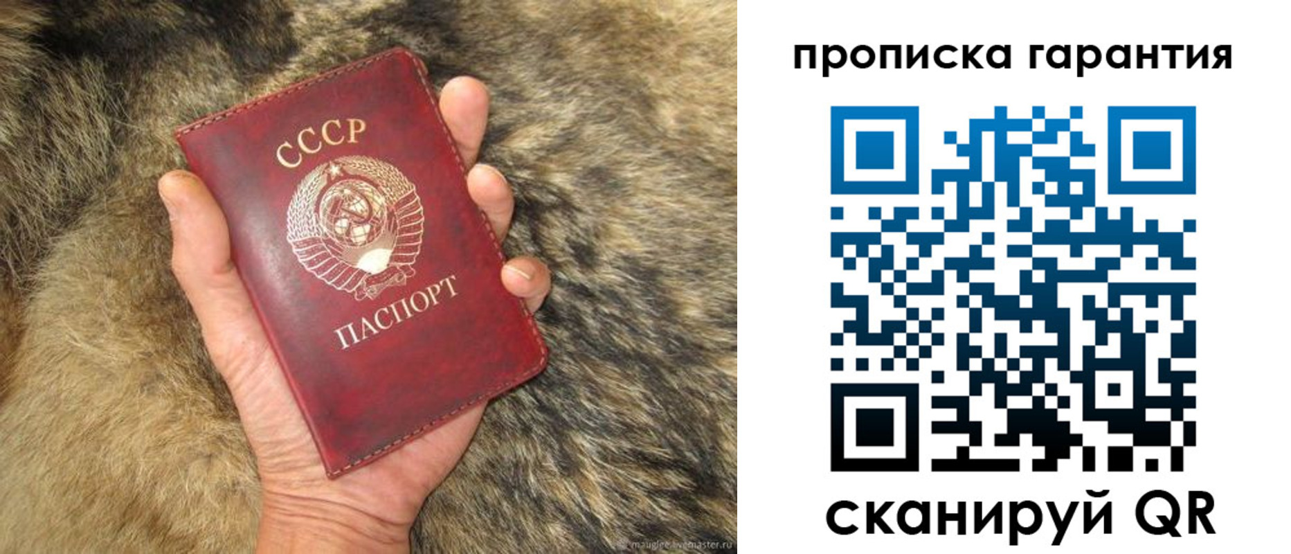 временная регистрация гарантия в Тамбовской области